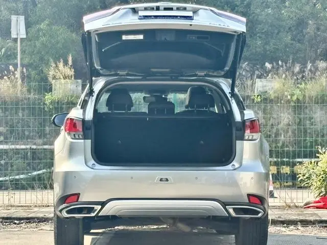 Lexus Lexus RX Facelift 300 two-wheel drive comfort version
