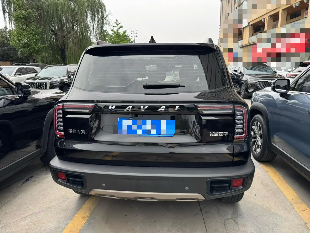 Haval Haval Big Dog 1.5T two-wheel drive Labrador version