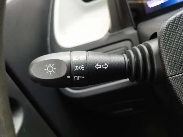 Wuling Wuling Hongguang MINIEV Free lithium iron phosphate