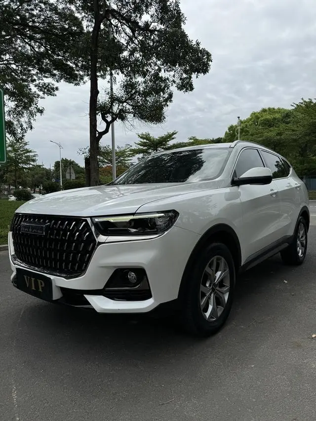 Haval Haval H6 National Tide Version 1.5T Automatic Champion Version
