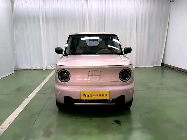 Geely Galaxy panda 200km panda mini endurance bear