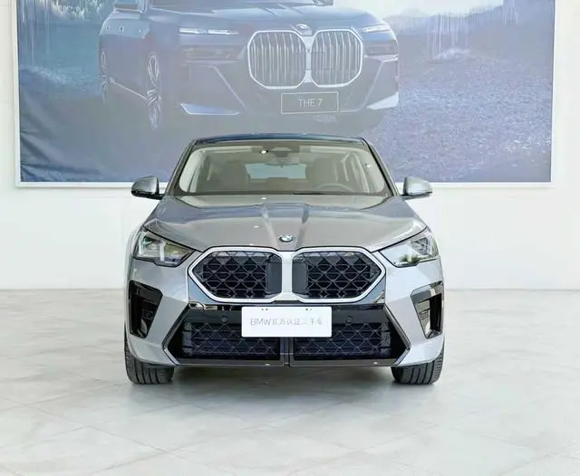 BMW BMW X2 (imported) sDrive25i M sports suit