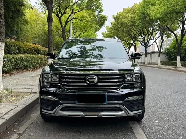 GAC Trumpchi GS8 320T two-wheel drive luxury Zhilian Edition 7 seats