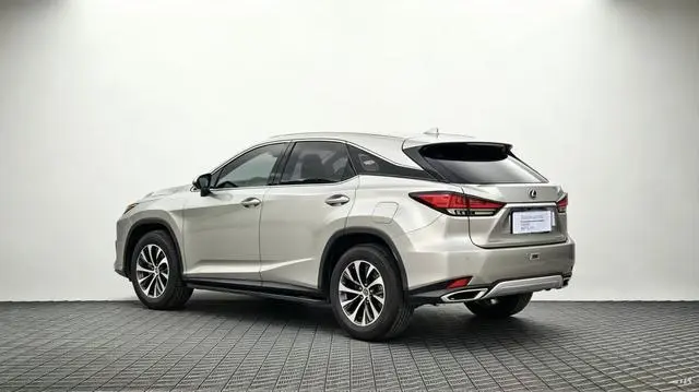 Lexus Lexus RX 300 four-wheel drive Special Edition