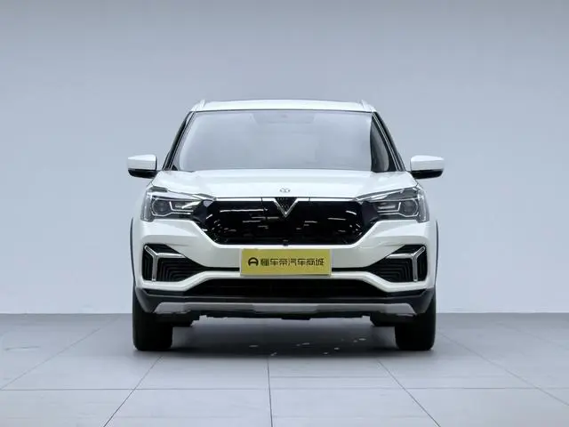 Venucia Qichen T60 EV AI Enjoy type