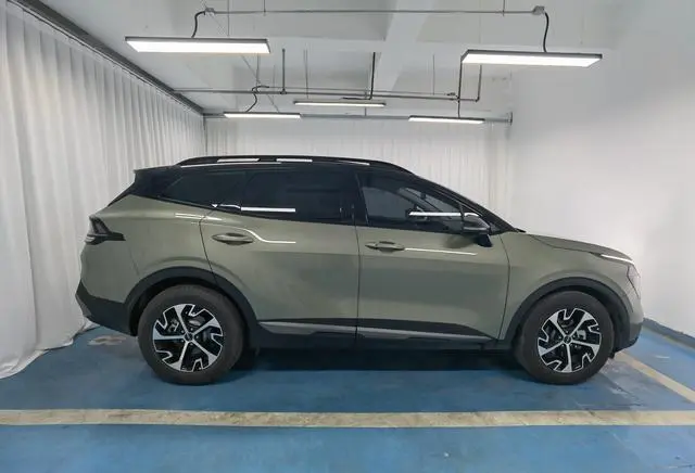 Kia Lion Platinum expands the world 1.5T two-wheel drive Premium edition