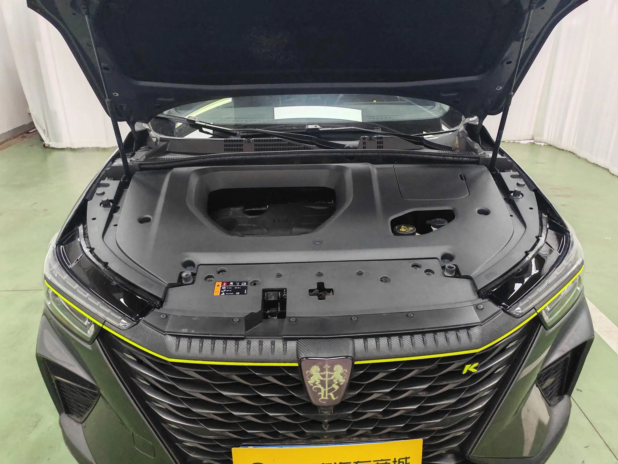Roewe Roewe RX5 PLUS 330TGI Automatic National Tide Zhizhen Edition