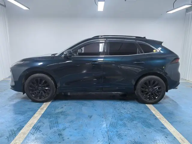 Dongfeng Fengxing Popular T5 EVO 1.5TD DCT Xingyao Edition