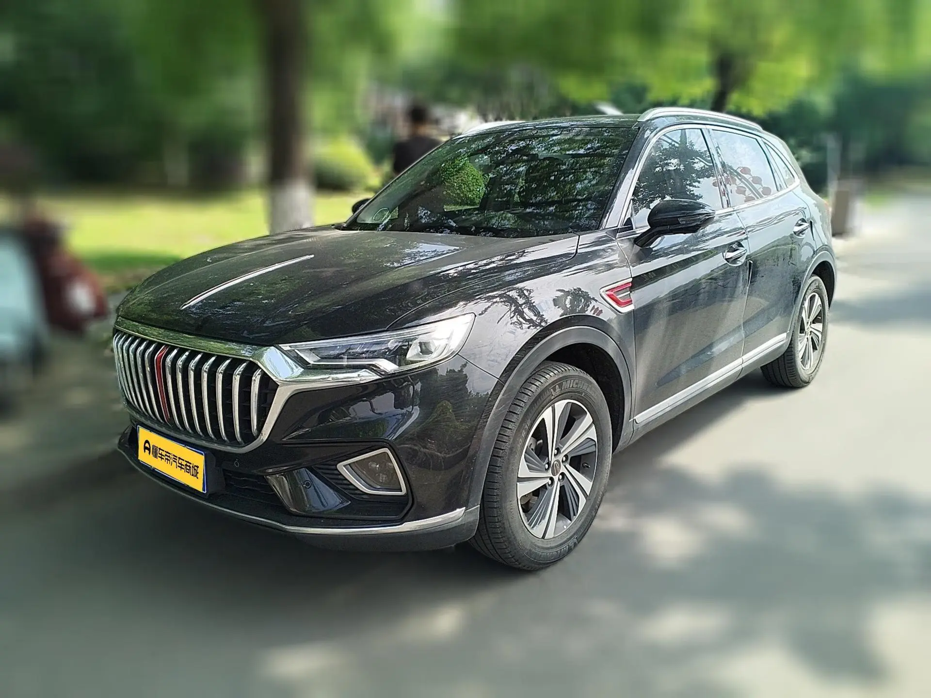 Hongqi Hongqi HS5 2.0T Zhilian Flag Enjoy Edition