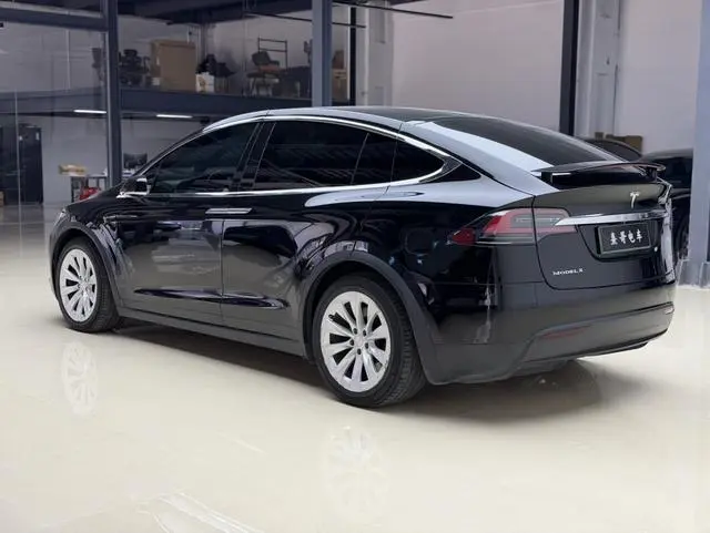 Tesla Model X 100D long battery life version