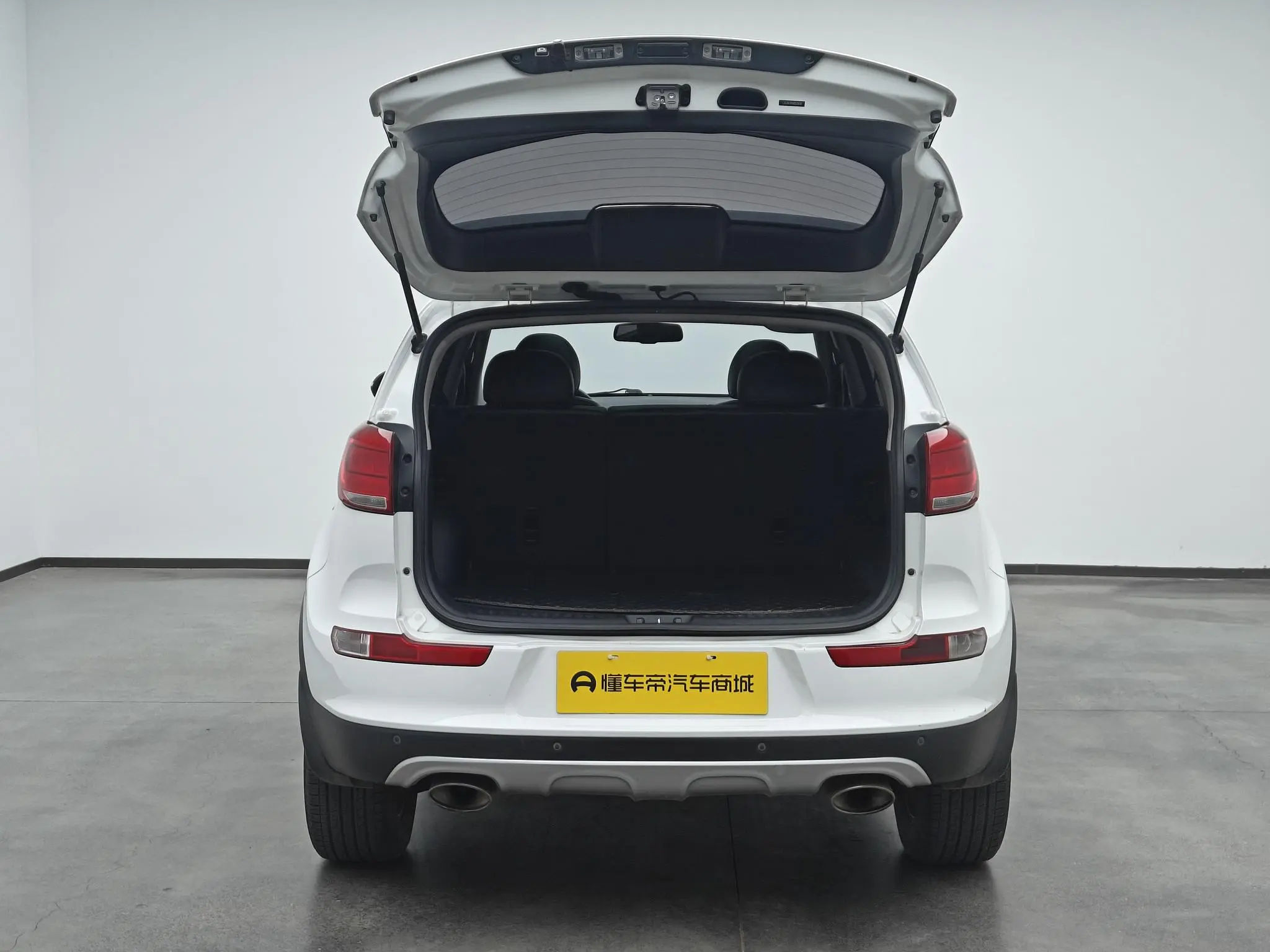 Kia Smart running 2.0L automatic two-wheel drive version DLX