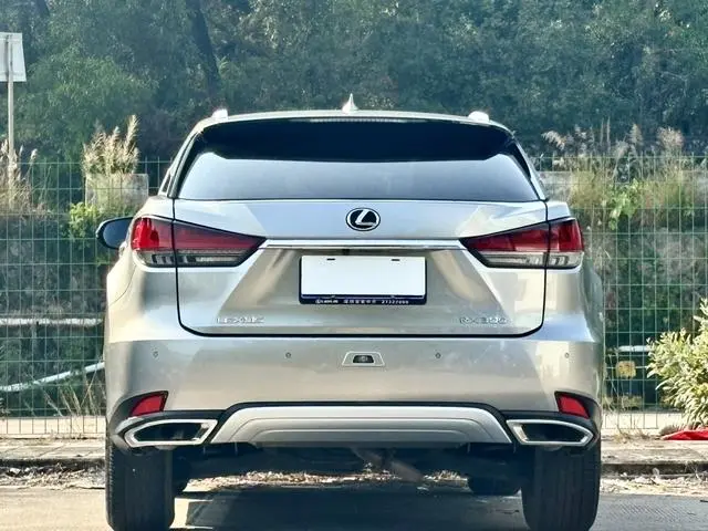 Lexus Lexus RX Facelift 300 two-wheel drive comfort version