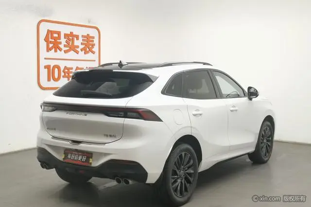 Dongfeng Fengxing Popular T5 EVO 1.5TD DCT Diamond Edition