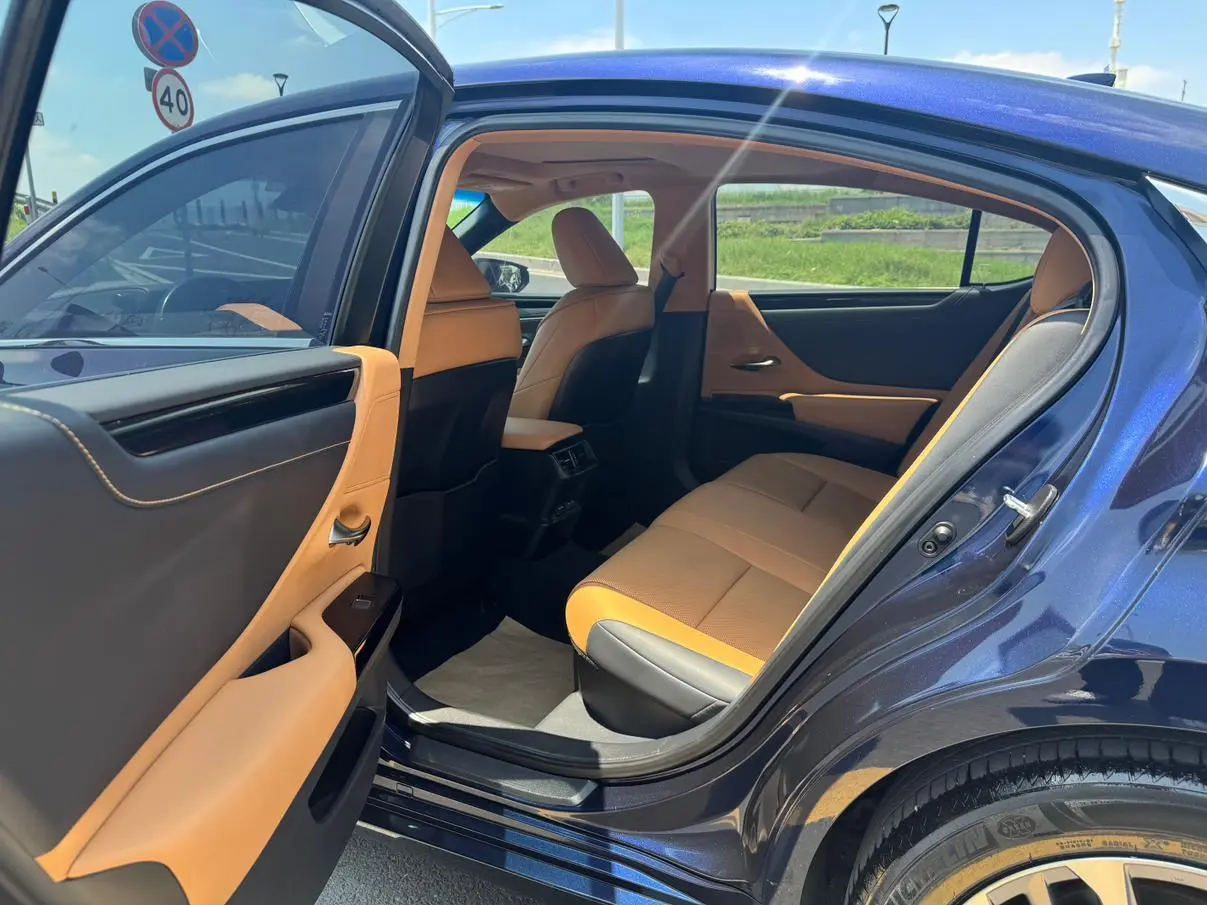Lexus Lexus ES 300h Excellent Edition