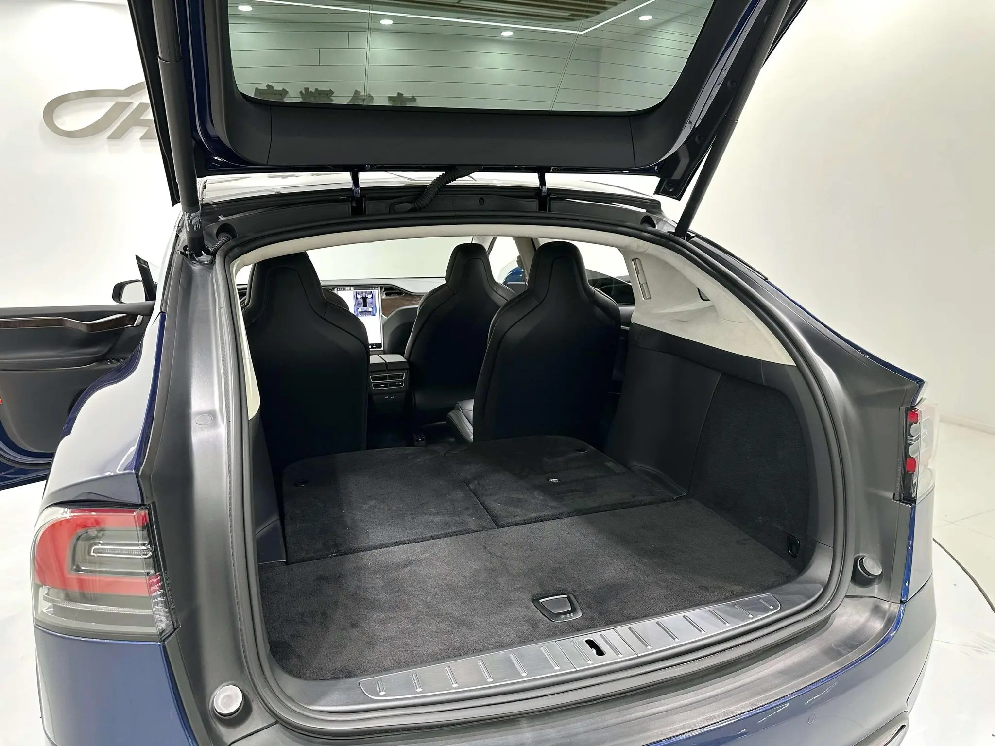 Tesla Model X 100D long battery life version
