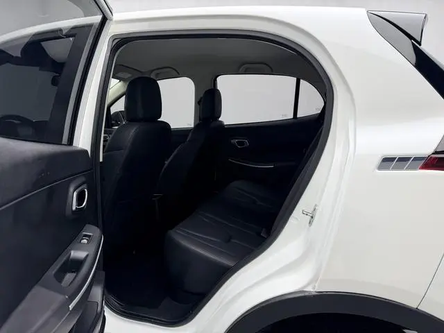 Dayun Yuehu 300 Standard Edition
