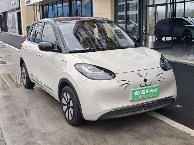 Wuling Wuling Bingguo 410KM Lingyi Exclusive Model