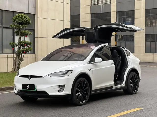 Tesla Model X 100D long battery life version