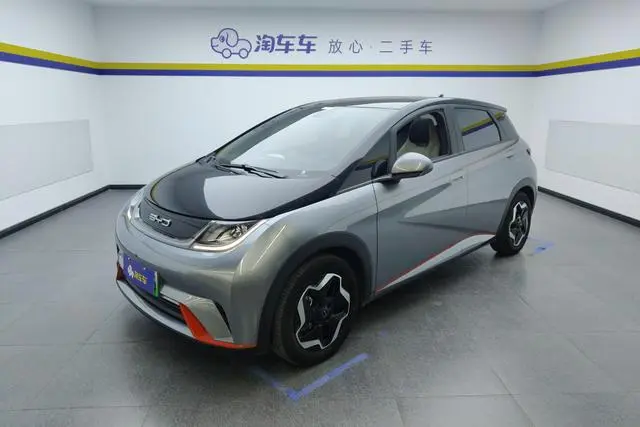 BYD dolphin Fashion edition