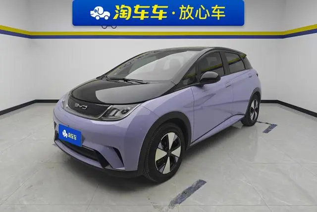 BYD dolphin Fashion edition