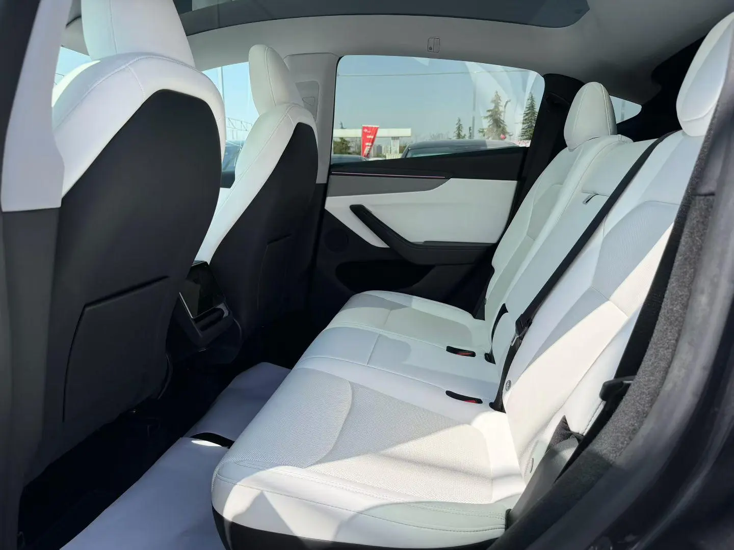 Tesla Model Y Rear-wheel drive version