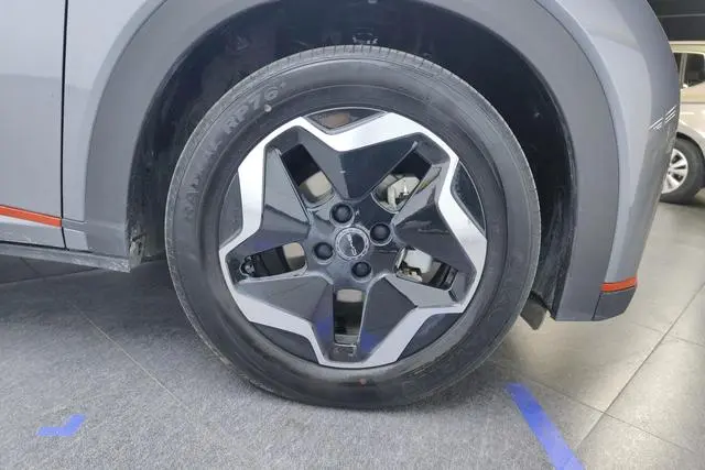 BYD dolphin Fashion edition