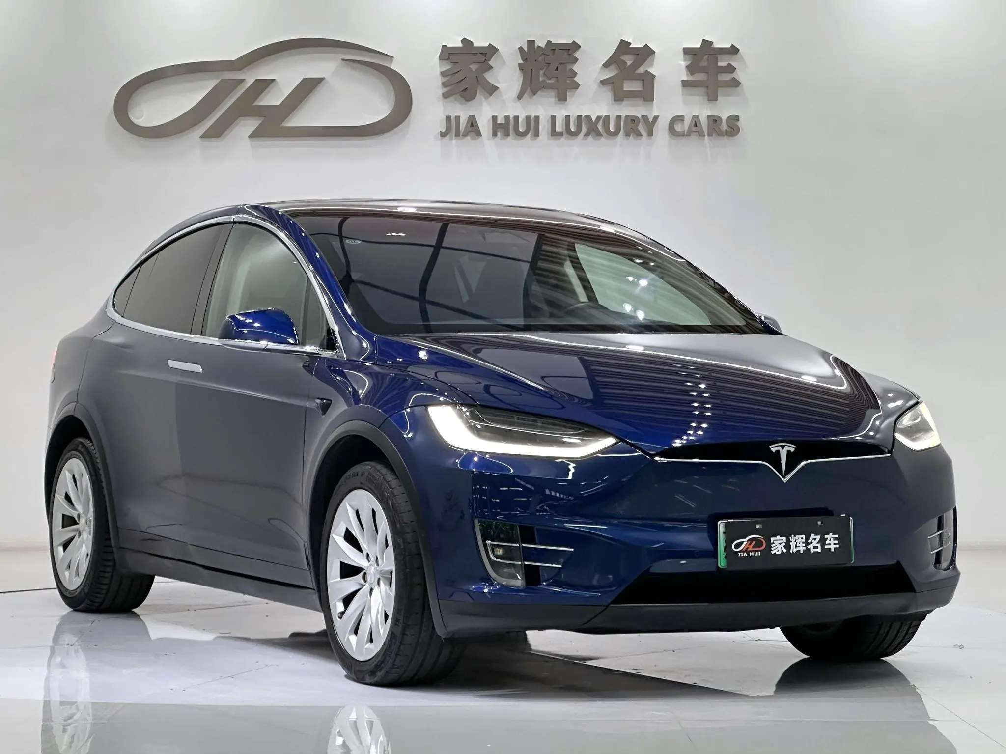 Tesla Model X 100D long battery life version