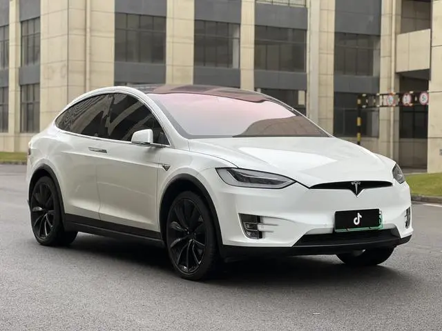 Tesla Model X 100D long battery life version
