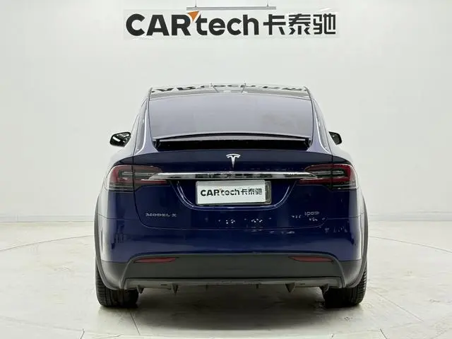 Tesla Model X 100D long battery life version
