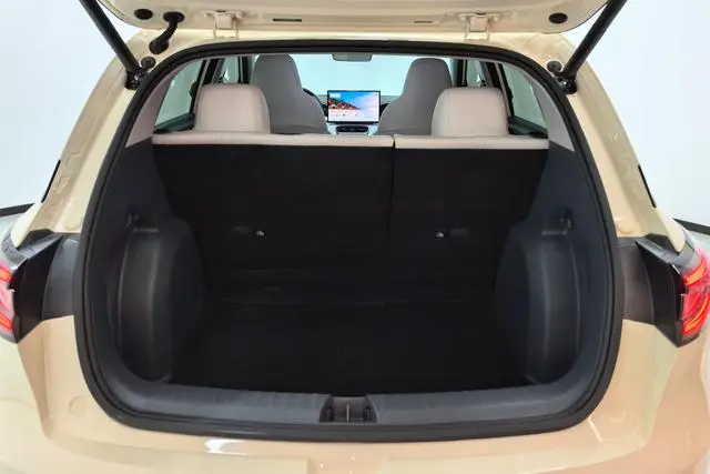 Geely Galaxy Star Wish 310km Dream Edition