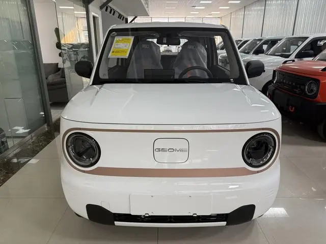 Geely Galaxy panda 200km panda mini endurance bear