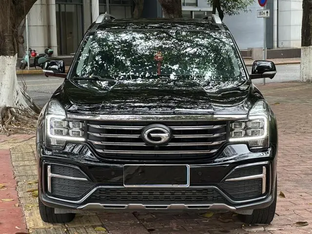 GAC Trumpchi GS8 390T two-wheel drive luxury Zhilian Edition 7 seats