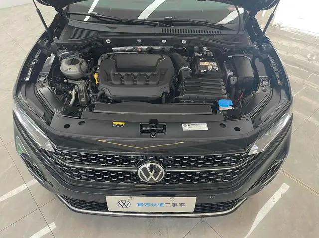 Volkswagen Passat Outstanding 380TSI Starry Sky Dragon Edition