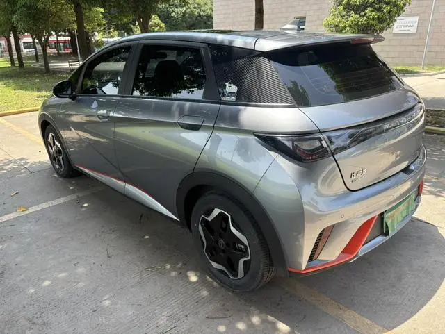BYD dolphin Fashion edition