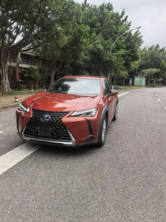 Lexus Lexus UX 260h Exploration*Cool Edition Country VI