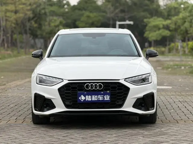 Audi Audi A4L 40 TFSI luxury Dynamic Type