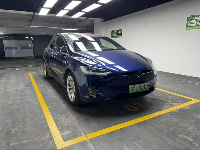 Tesla Model X 100D long battery life version