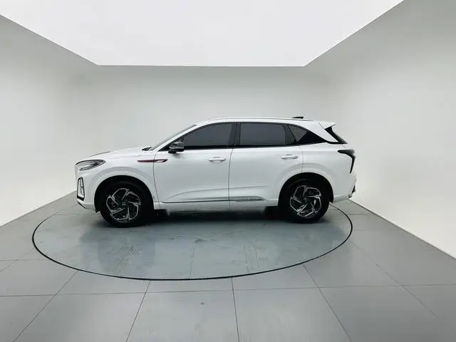 Hongqi Hongqi HS3 1.5T Shanwei Edition