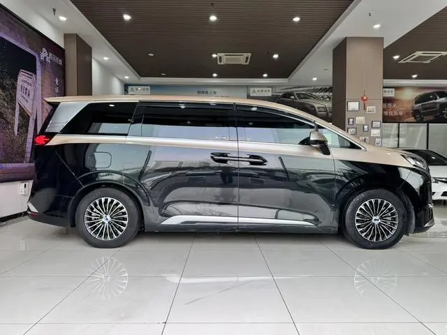 Denza Denza D9 DM 980 four-wheel drive flagship