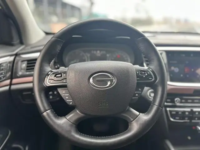 GAC Trumpchi GS8 320T two-wheel drive premium edition 7 seats