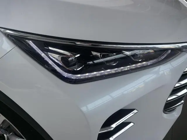 BYD Tang DM DM 2.0T full-time four-wheel drive Zhilian Chuangxiang type 7-seater country VI