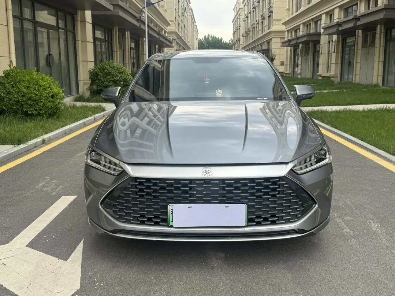 BYD Qin PLUS DM DM-i Champion Edition 55KM Transcendent Type