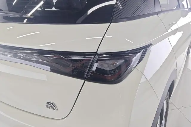 BYD dolphin Fashion edition