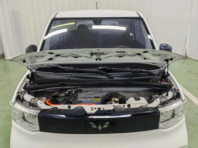 Wuling Wuling Hongguang MINIEV Free lithium iron phosphate