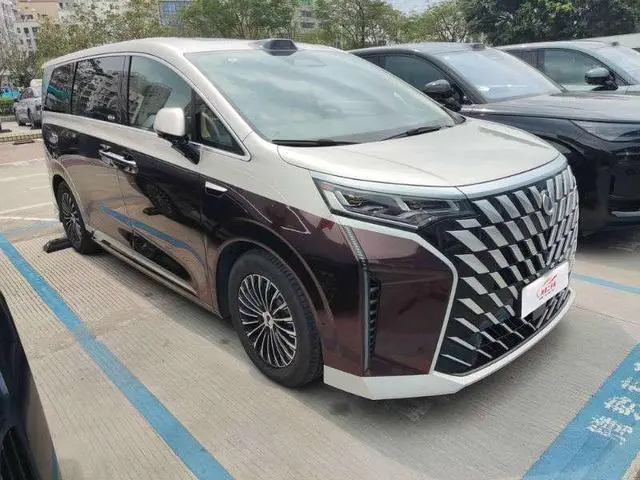 Denza Denza D9 DM Smart driving version 1020 four-wheel drive exclusive type