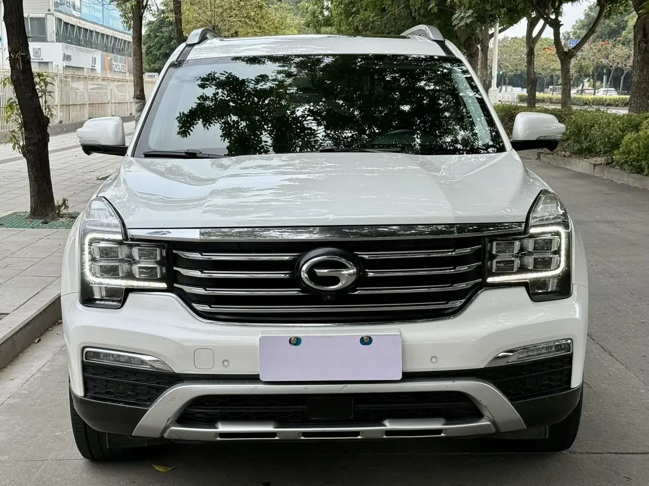GAC Trumpchi GS8 320T two-wheel drive luxury Zhilian Edition 7 seats