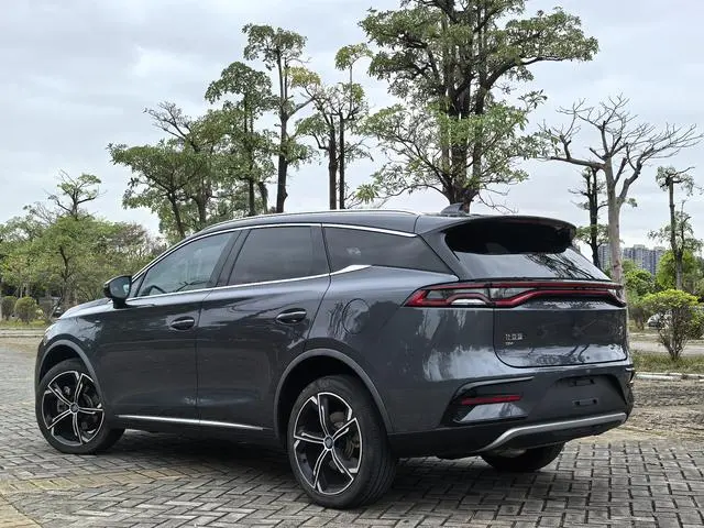 BYD Tang DM DM 2.0T four-wheel drive performance version premium type