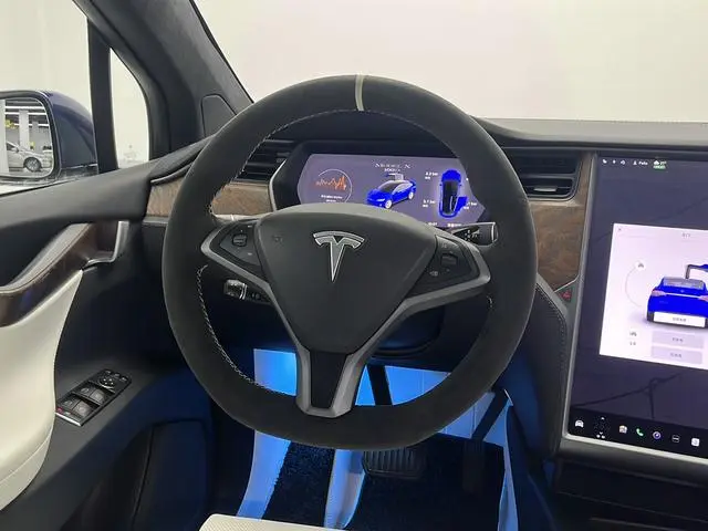 Tesla Model X 100D long battery life version