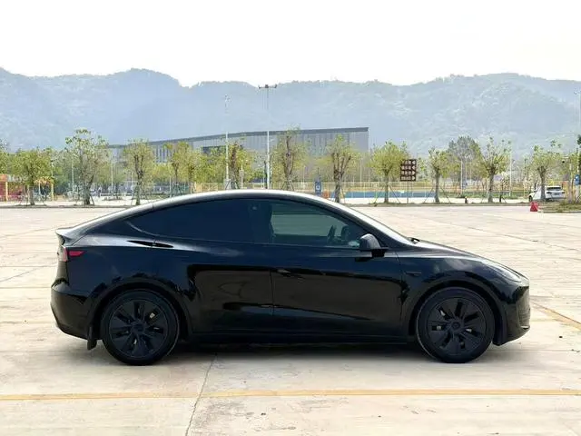Tesla Model Y Rear-wheel drive version