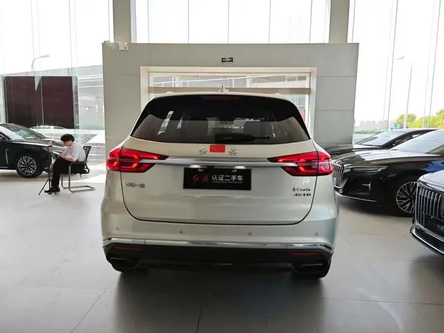 Hongqi Hongqi HS5 2.0T Zhilian Flag Enjoy Edition